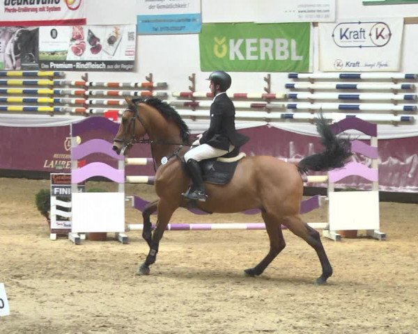 Reitturnier Eicherloh 2018