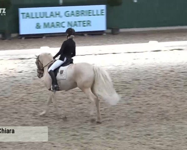 Horsepark Dressage Masters 2018