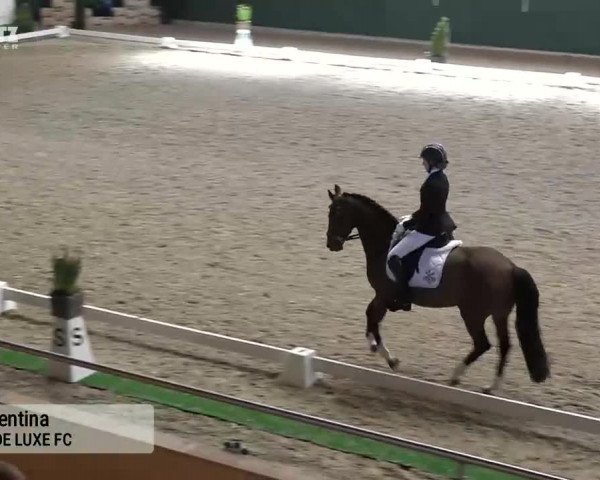 Horsepark Dressage Masters 2018