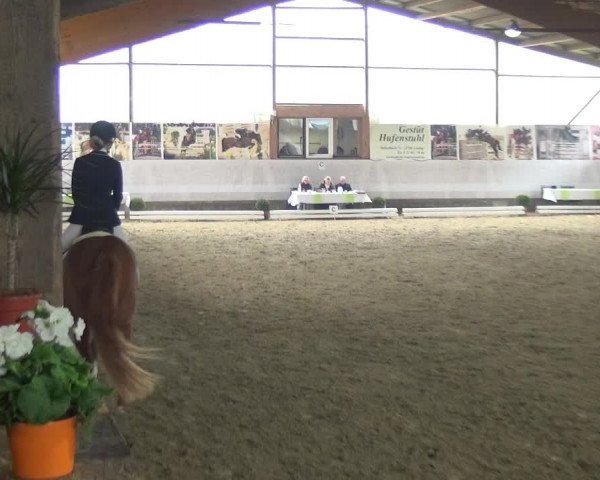 Reitturnier Lindlar-Süttenbach 2018