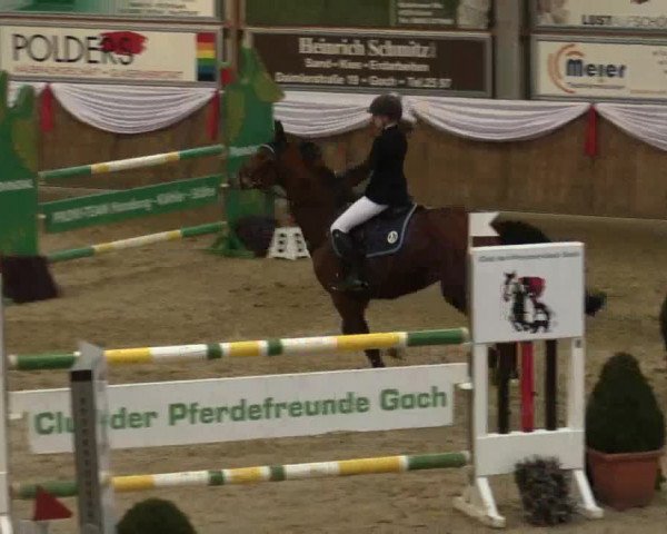Reitturnier Goch 2018