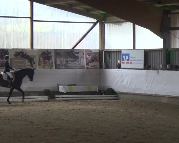 Reitturnier Lindlar-Süttenbach 2018