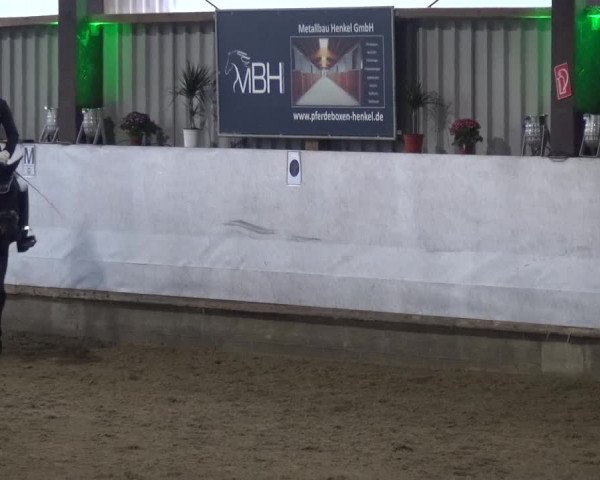 Reitturnier Lindlar-Süttenbach 2018