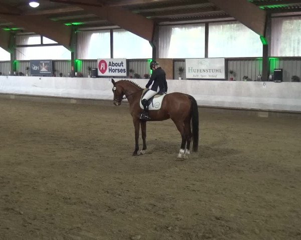 Reitturnier Lindlar-Süttenbach 2018