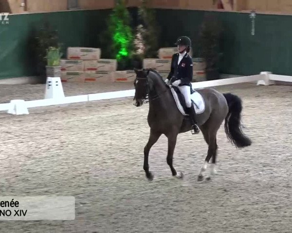 Horsepark Dressage Masters 2018