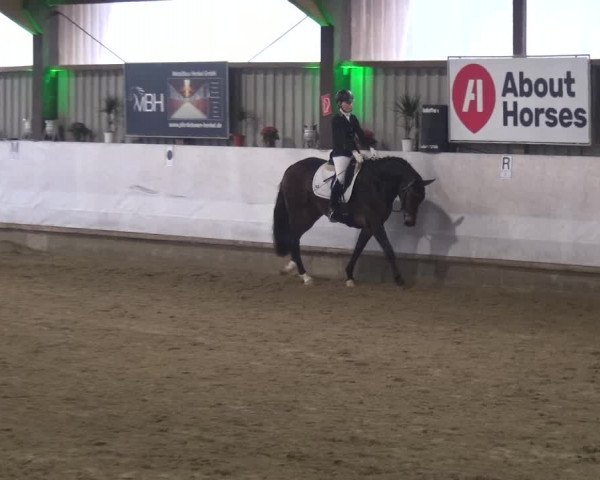 Reitturnier Lindlar-Süttenbach 2018
