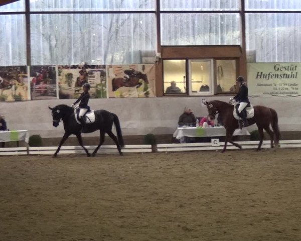 Reitturnier Lindlar-Süttenbach 2018