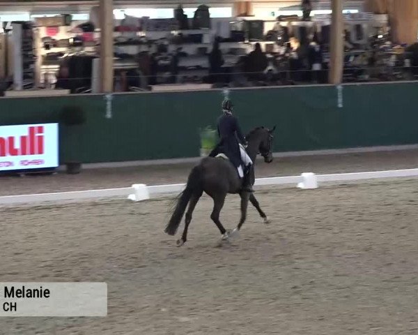Horsepark Dressage Masters 2018