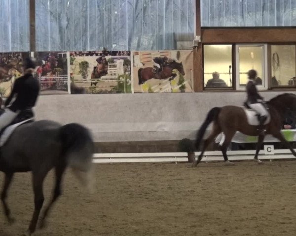 Reitturnier Lindlar-Süttenbach 2018