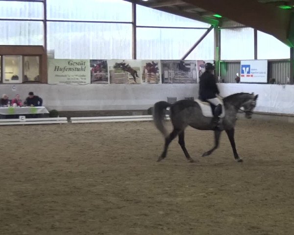 Reitturnier Lindlar-Süttenbach 2018