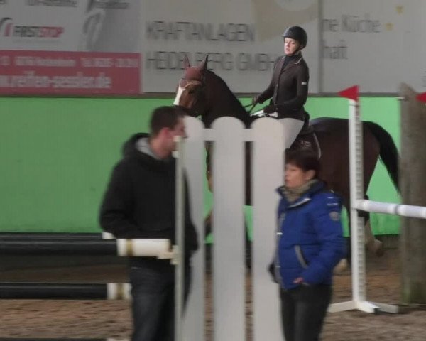 Reitturnier Walldorf 2018