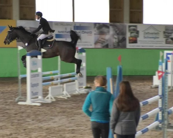 Reitturnier Walldorf 2018