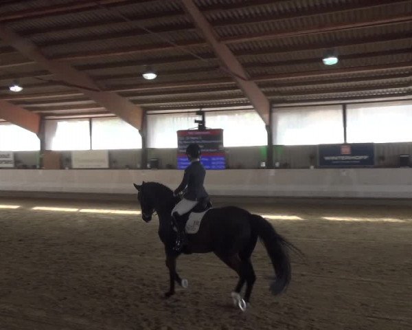 Reitturnier Lindlar-Süttenbach 2018