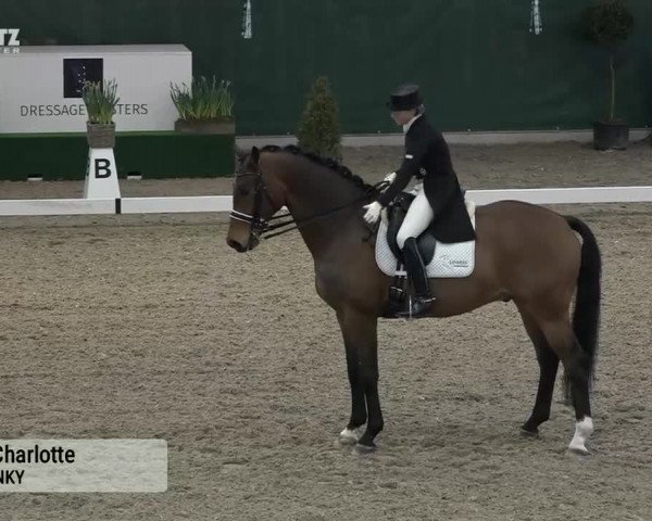 Horsepark Dressage Masters 2018