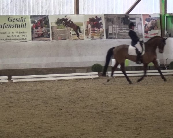 Reitturnier Lindlar-Süttenbach 2018
