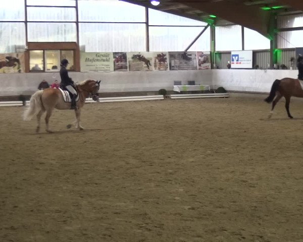 Reitturnier Lindlar-Süttenbach 2018