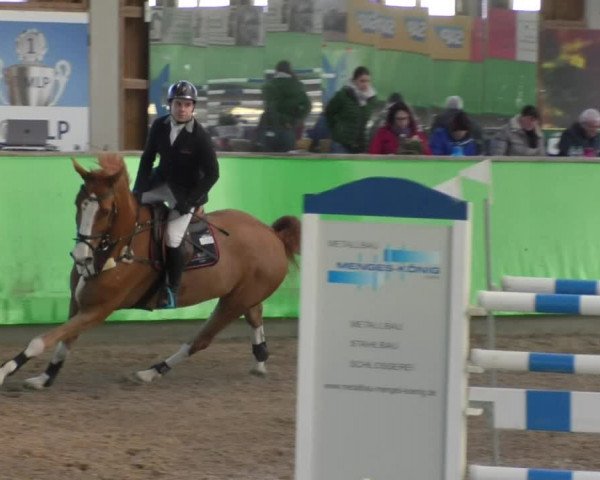 Reitturnier Walldorf 2018
