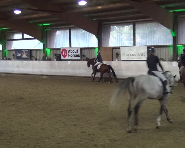 Reitturnier Lindlar-Süttenbach 2018