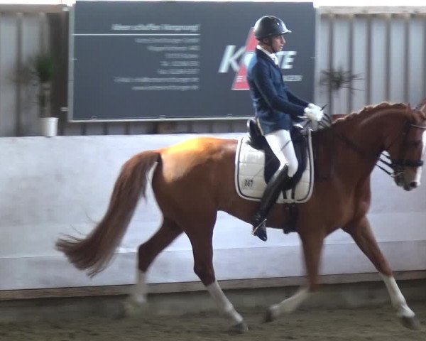 Reitturnier Lindlar-Süttenbach 2018