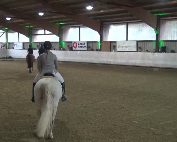 Reitturnier Lindlar-Süttenbach 2018
