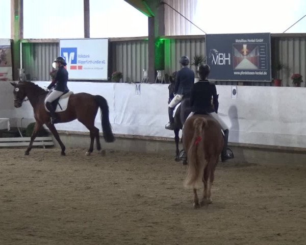 Reitturnier Lindlar-Süttenbach 2018