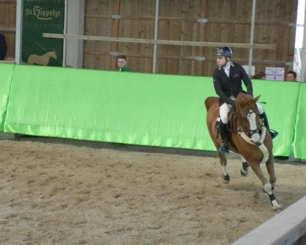 Reitturnier Walldorf 2018