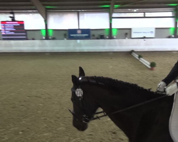 Reitturnier Lindlar-Süttenbach 2018