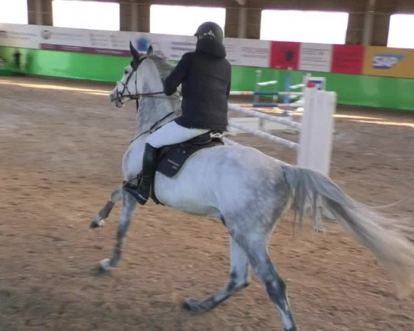Reitturnier Walldorf 2018