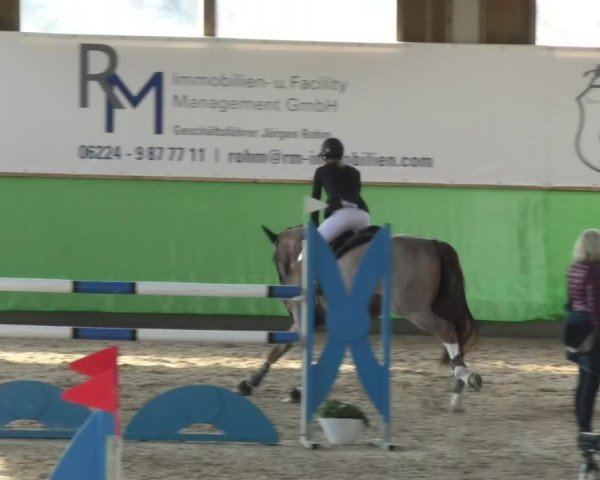 Reitturnier Walldorf 2018