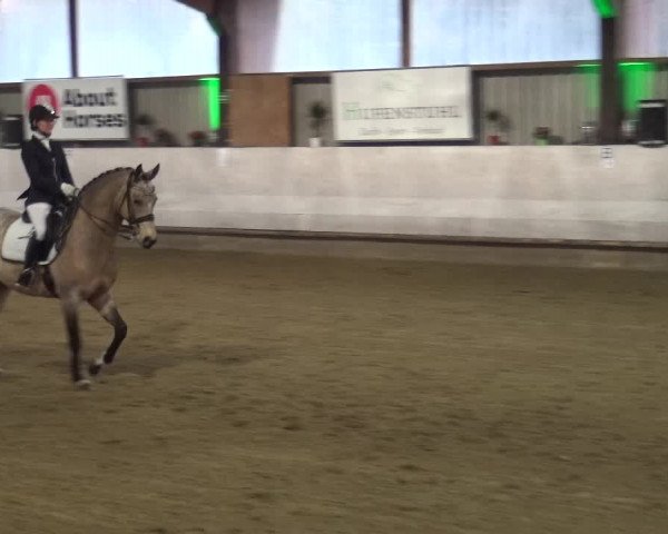 Reitturnier Lindlar-Süttenbach 2018