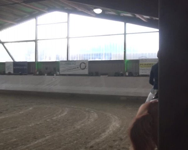 Reitturnier Lindlar-Süttenbach 2018