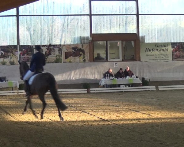 Reitturnier Lindlar-Süttenbach 2018