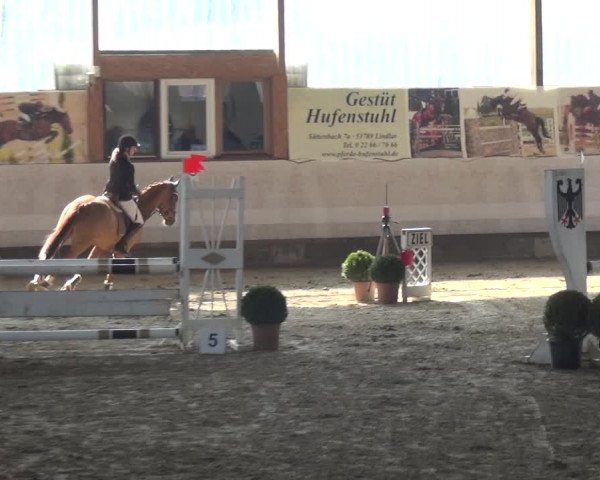 Reitturnier Lindlar-Süttenbach 2018