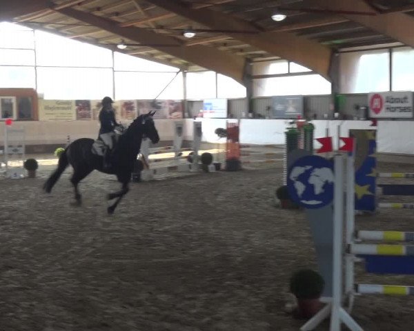 Reitturnier Lindlar-Süttenbach 2018