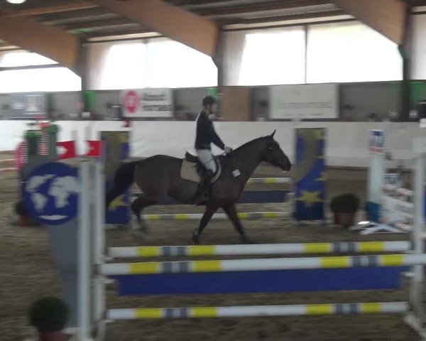 Reitturnier Lindlar-Süttenbach 2018