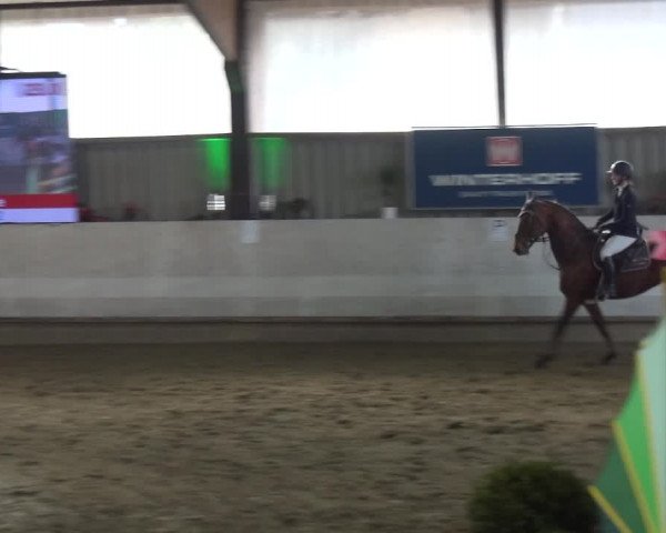 Reitturnier Lindlar-Süttenbach 2018