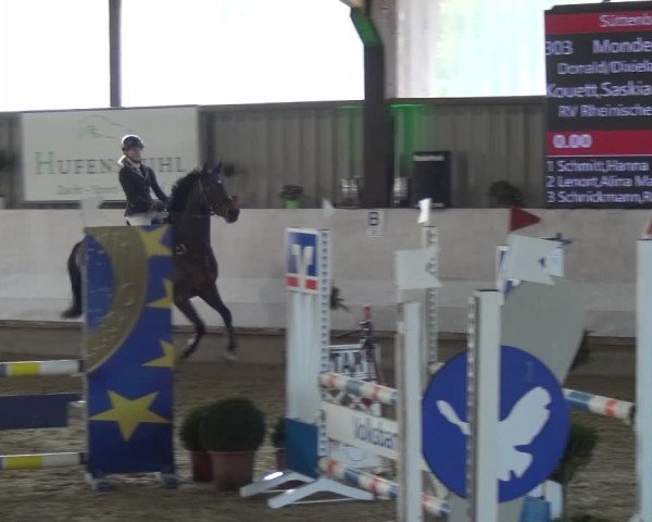 Reitturnier Lindlar-Süttenbach 2018