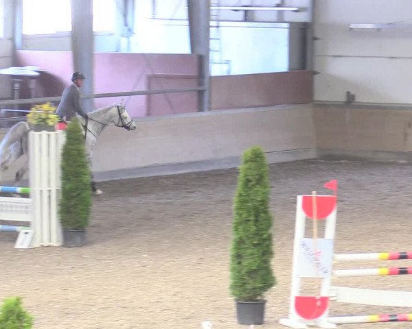 Reitturnier Waghäusel-Wiesental 2018