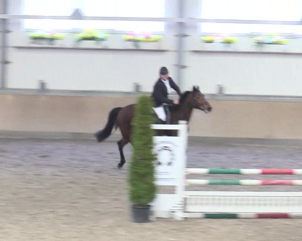 Reitturnier Waghäusel-Wiesental 2018
