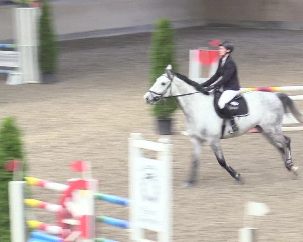 Reitturnier Waghäusel-Wiesental 2018