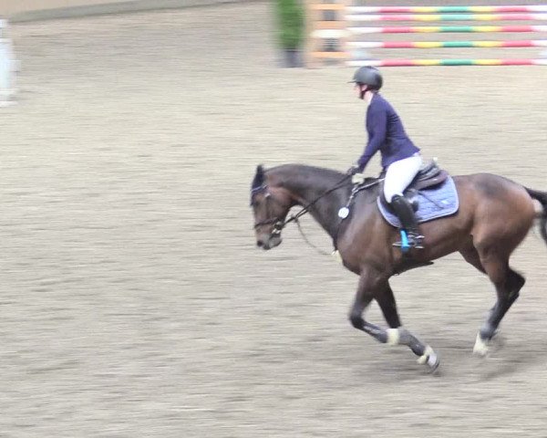 Reitturnier Waghäusel-Wiesental 2018
