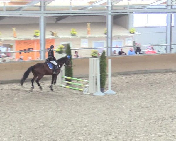 Reitturnier Waghäusel-Wiesental 2018