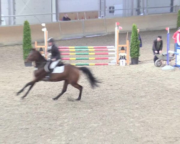 Reitturnier Waghäusel-Wiesental 2018