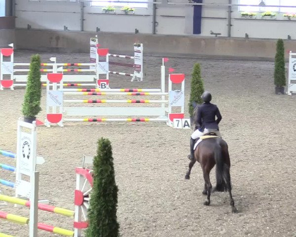 Reitturnier Waghäusel-Wiesental 2018