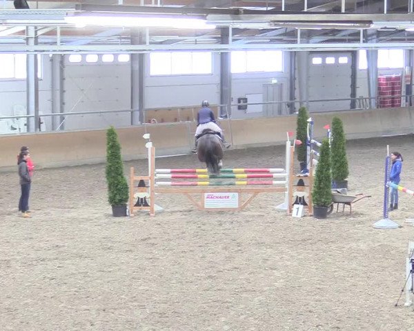 Reitturnier Waghäusel-Wiesental 2018