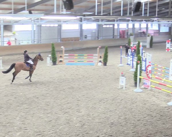 Reitturnier Waghäusel-Wiesental 2018