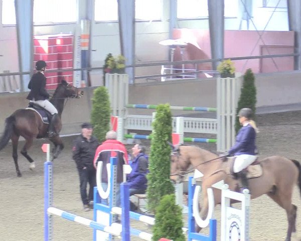 Reitturnier Waghäusel-Wiesental 2018