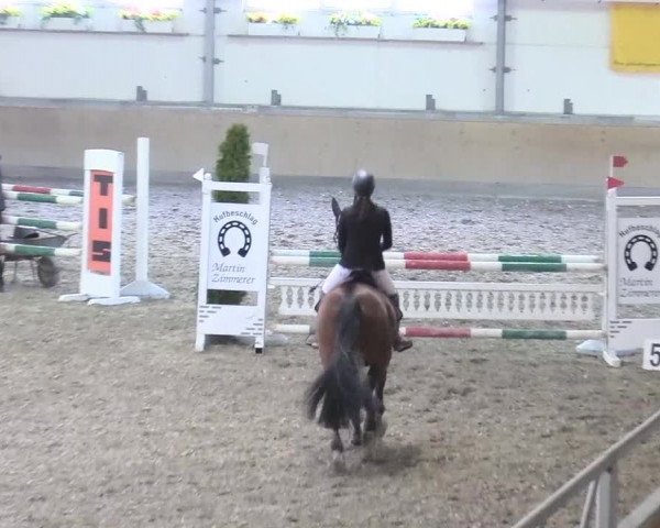 Reitturnier Waghäusel-Wiesental 2018