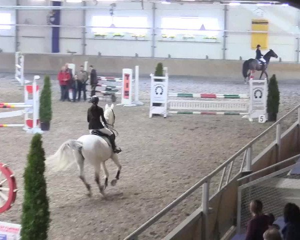 Reitturnier Waghäusel-Wiesental 2018