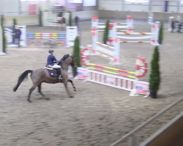 Reitturnier Waghäusel-Wiesental 2018